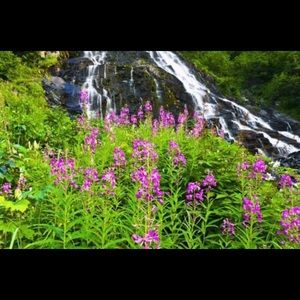 Meet your Posher, Lorri